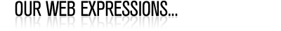 Unique Web Designs, Solutions, from Big to Small Companies